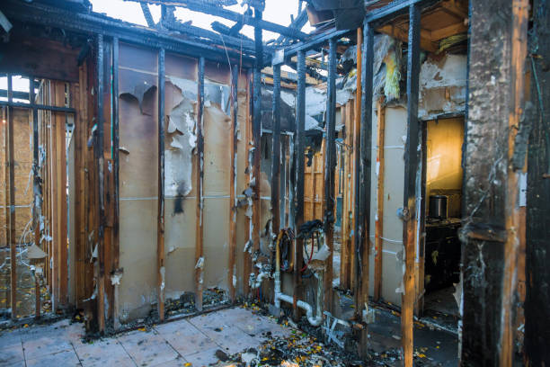 Professional Fire Damage Removal technician working in Knoxville, MD