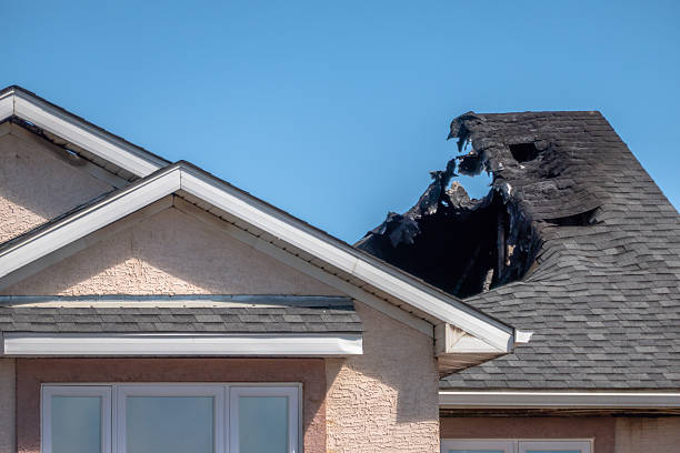 Top rated local Fire Damage Removal specialists in Knoxville, MD